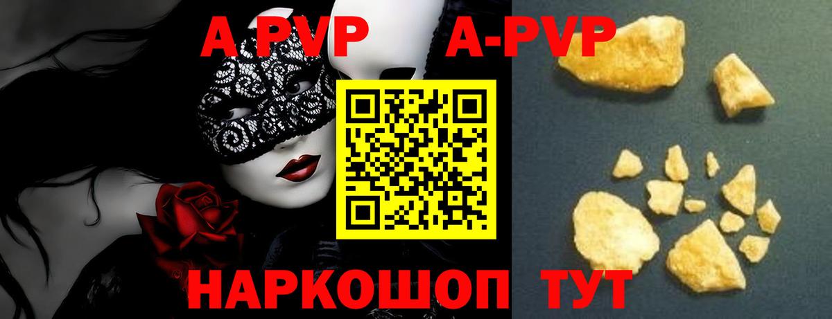 Alfa_PVP СК Старая Русса