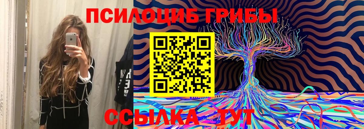 Галлюциногенные грибы MAGIC MUSHROOMS  Вход с VPN  Старая Русса  Псилоцибиновые грибы Magic Shrooms 